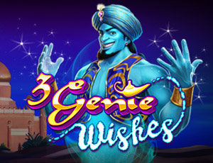 3 Genie Wishes