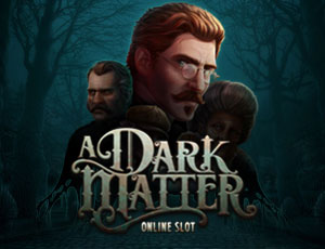 A Dark Matter