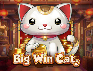 Big Win Cat