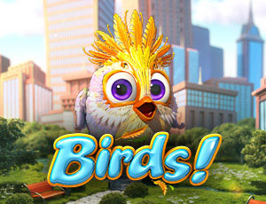 Birds