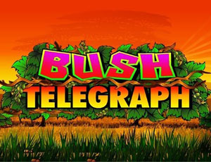 Bush Telegraph