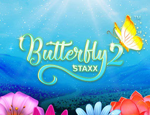 Butterfly Staxx 2