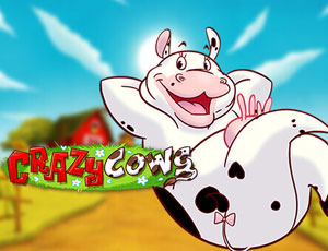 Crazy Cows