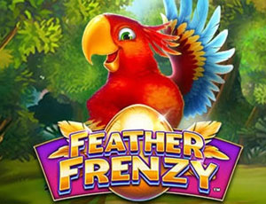 Feather Frenzy