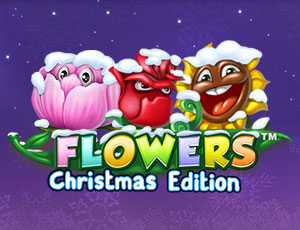 Flowers Christmas Edition