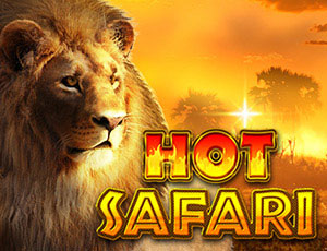 Hot Safari