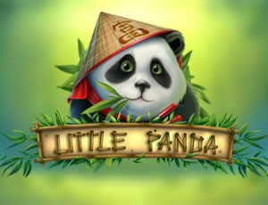 Little Panda