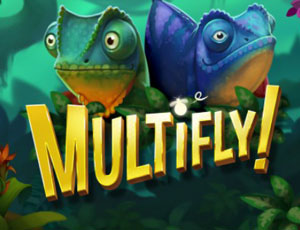 Multifly!
