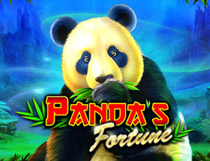 Pandas Fortune