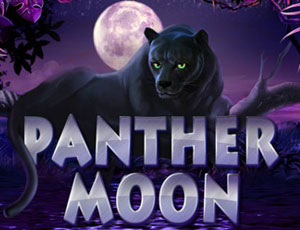 Panther Moon