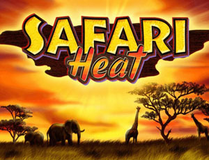 Safari Heat
