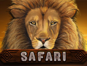 Safari