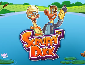Scruffy Duck