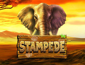 Stampede