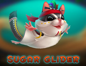 Sugar Glider