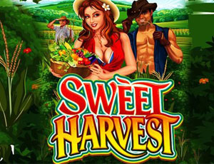 Sweet Harvest