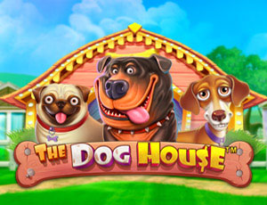 The Dog House