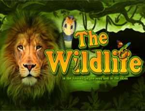The Wildlife