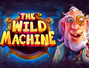 The Wild Machine
