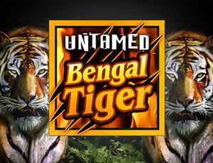 Untamed Bengal Tiger