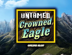 Untamed Crowned Eagle