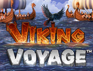 Viking Voyage