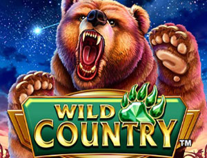 Wild Country