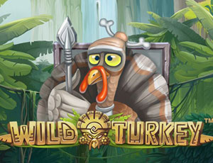 Wild Turkey