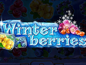 Winter Berries