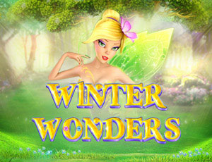 Winter Wonders