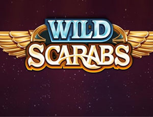 Wild Scarabs
